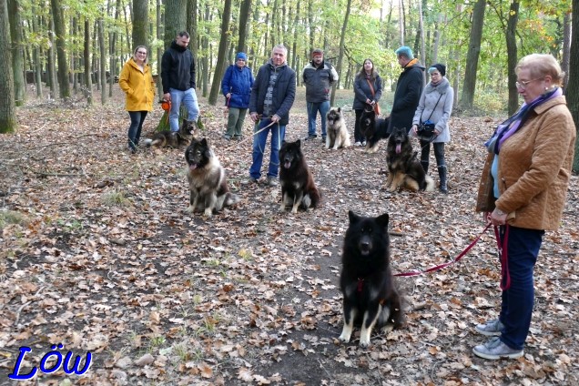 29.10.2023 - B-Wurf vom Situlagrund